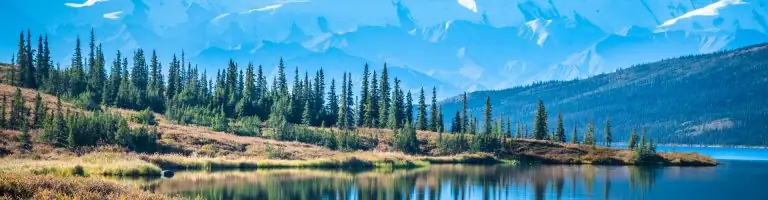 Alaska auto transport