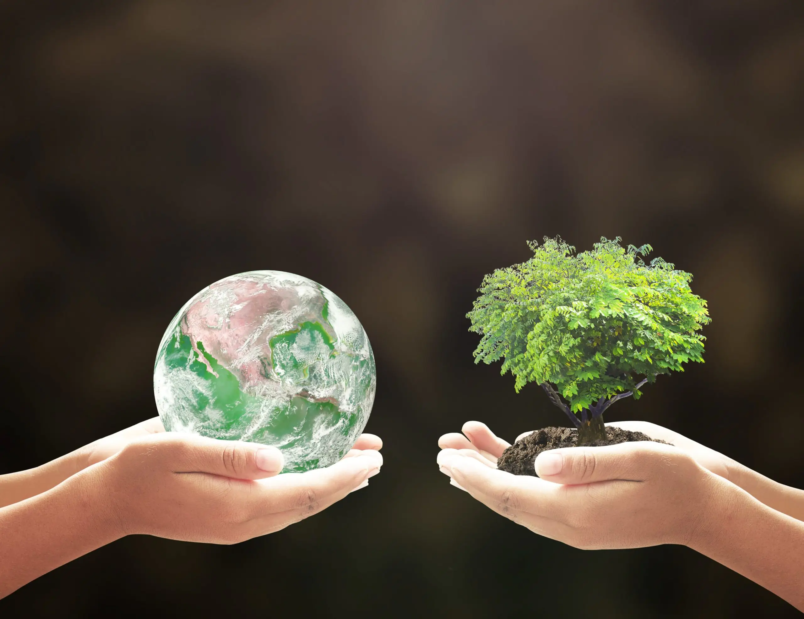 <strong>Green Practices in Auto Shipping</strong>