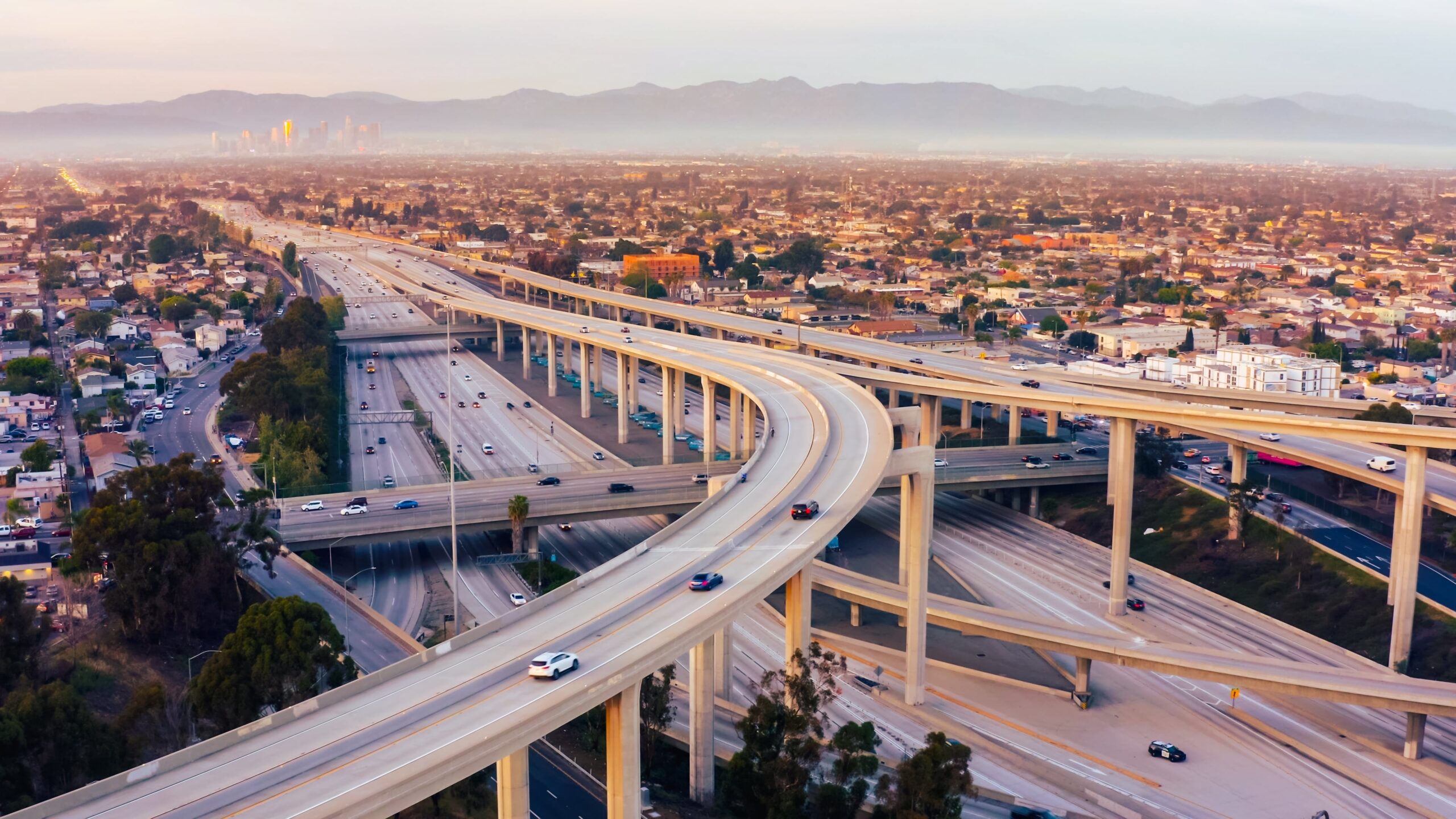 Hassle-Free Car Shipping and DMV Tips