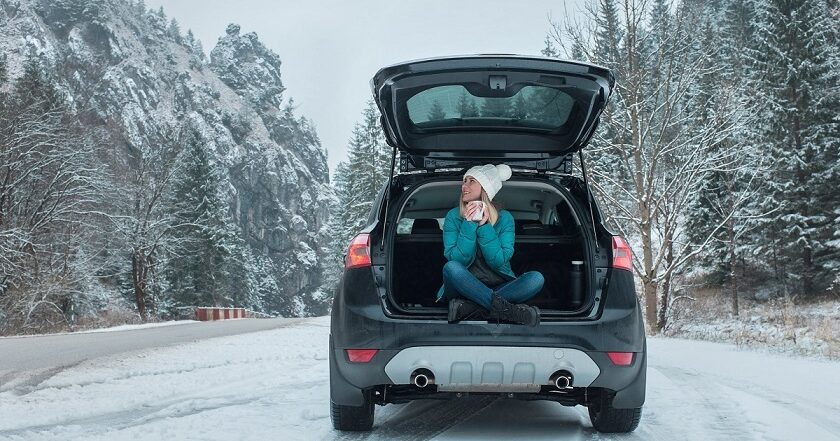 Top Auto Shipping Tips for Snowbirds