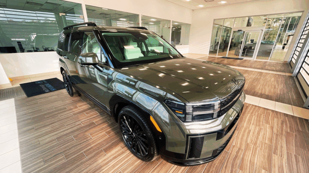 Santa Fe at Georgia Dealership