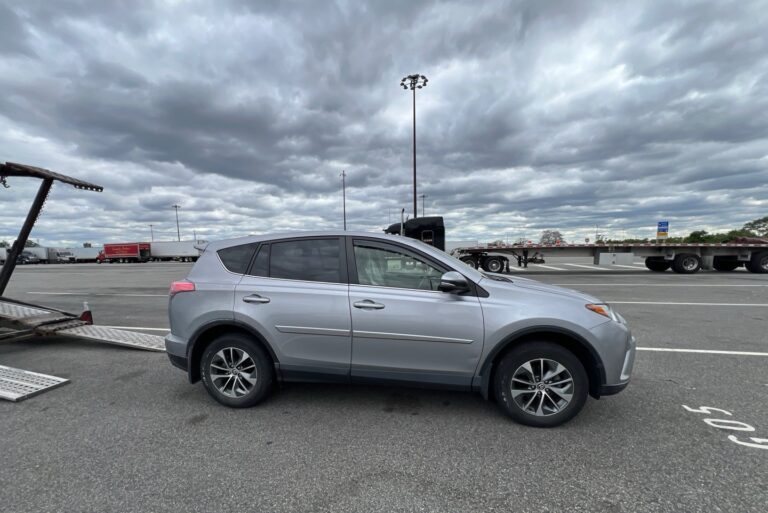 2018 Toyota RAV4 pic